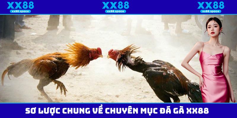 Sơ lược chung về sảnh đá gà XX88